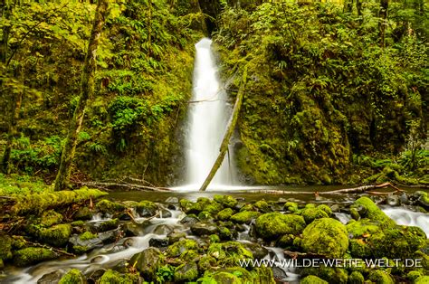 Ruckel Creek Falls Wilde Weite Weltde