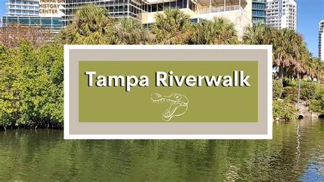 Explore Tampa Tampa Riverwalk Whitney Lohr Youtube