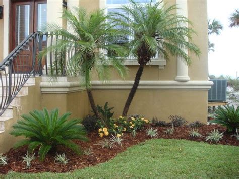 Palm Tree Landscape Design Ideas Modern For Small Front Yards