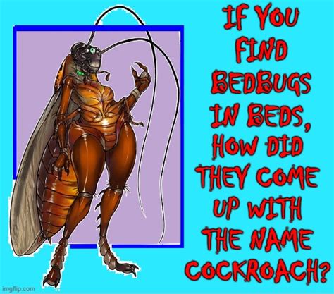 Meet Cuka La Cucaracha Imgflip