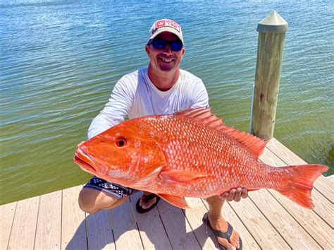 Fishing Red Snapper Fish Species