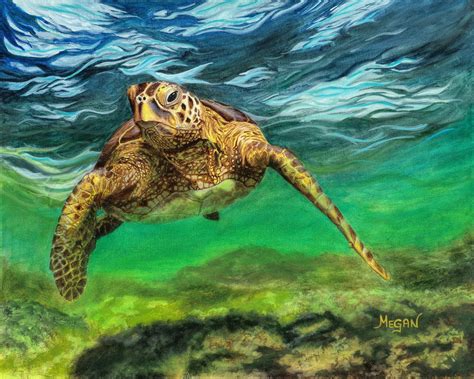 Original Oil Painting Sea Turtle Scout Matted Etsy