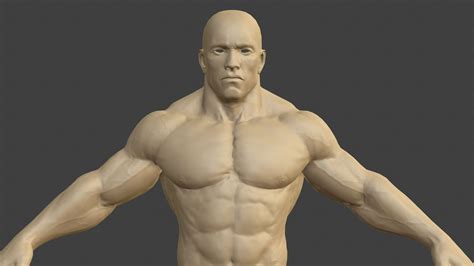 3d Model Muscular Male Body Vr Ar Low Poly Cgtrader