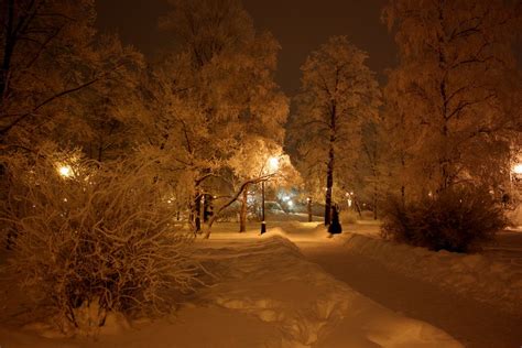 Three Meditations On A Snowy February Evening