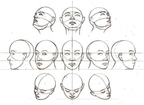 Head Position Face Drawing Drawing Heads Drawings
