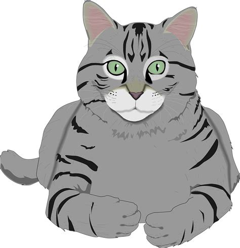 Cat Kitty Gray Grey Tabby Cat Cartoon Clipart Large Size Png Image