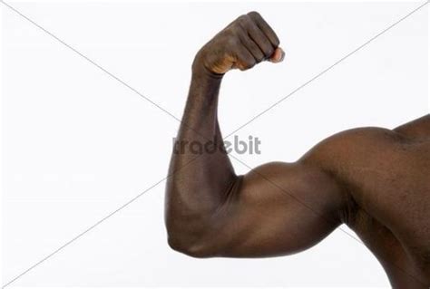 Muscular Dark Skinned Man 30 Download People