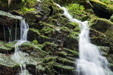 Waterfall From Ravine Stock Photo Image Of Flowing Fall 49674746