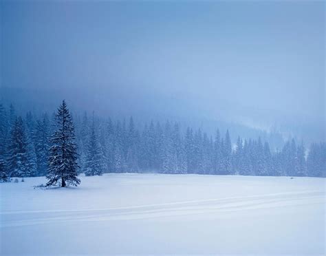 Free Download Snowy Backgrounds 1280x1007 For Your Desktop Mobile