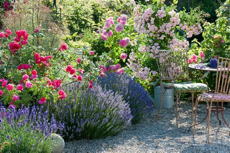The Most Fragrant Plants For Your Garden This Old House