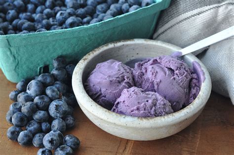 Fresh Creamy Homemade Blueberry Ice Cream Recipe Visualheart Creative