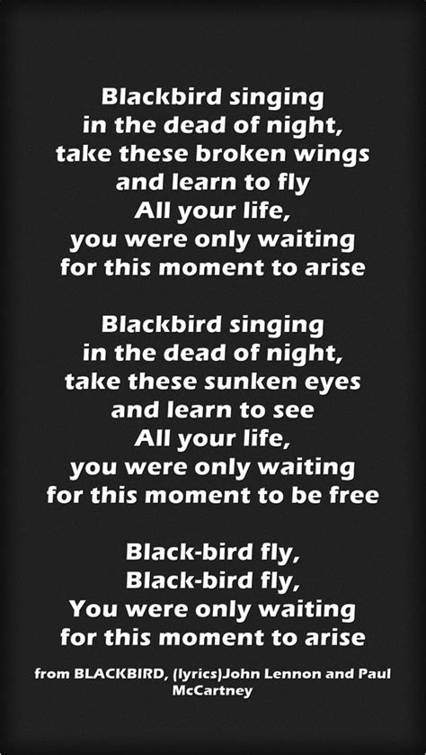 Blackbird Singing In The Dead Of Night Take These Broken Wings And