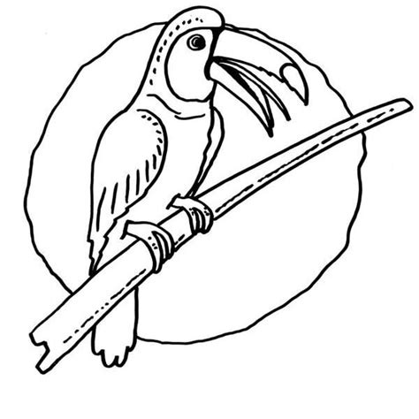 Toucan beak eye branch colors flowers. Perched Keel Billed Toucan Coloring Page - Free Printable ...
