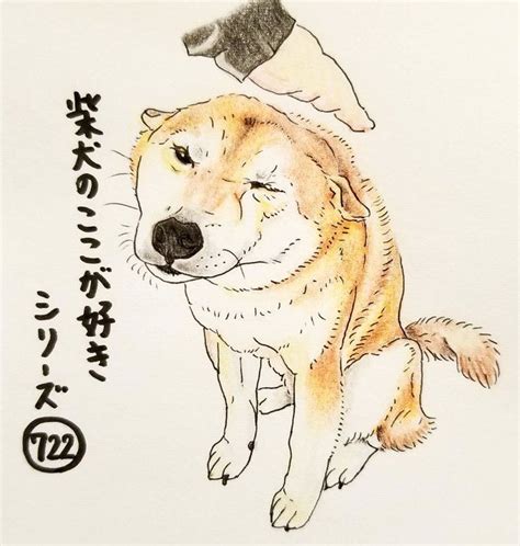 Ok※ ・snsアイコン ・trpgのキャラクターイラスト ・常識の範囲内での色変え・書き足しなどの加工 ※ng※ ・他人に攻撃的なアカウントでの使用. 【トップコレクション】 柴犬 イラスト リアル - 駅イラスト ...
