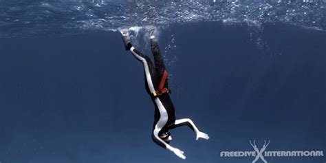 Freediving Training Tips 6 Duck Dive Like A Pro Freedive International