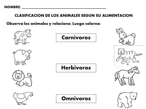 Clasificación De Los Animales Según Su Alimentación Actividades