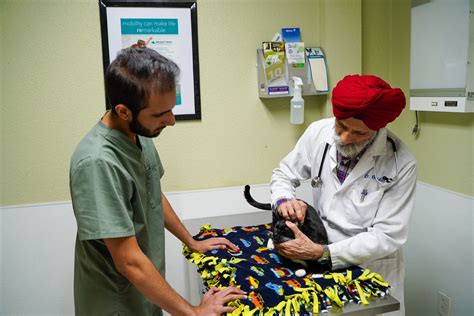 Millersburg veterinary hospital is proud to serve columbia and fulton, mo as well as surrounding areas. Veterinarian in Citrus Heights, CA 95621 | Akaal Pet Hospital