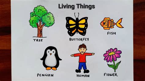 living things drawing easy how to draw living things simple living things sketch evs