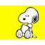Snoopy  Peanuts Wallpaper 26798384 Fanpop