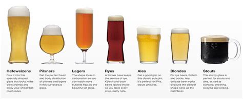 Top 13 Types Of Beer Glasses A Buying Guide Crate And Barrel