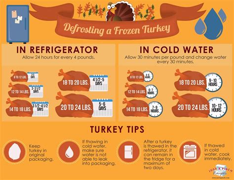 Defrosting A Frozen Turkey Thanksgiving Cooking Turkey Recipes