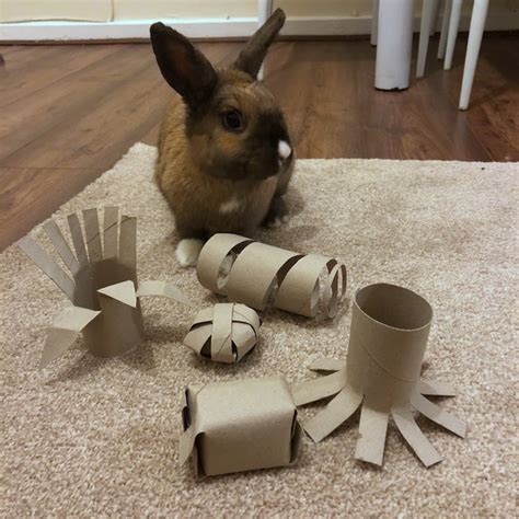 8 Paper Tube Rabbit Diy Toys Rabbits Rabbit Savvity Network