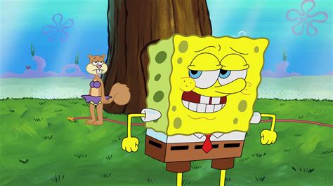 Single Cell Anniversary Spongebuddy Mania Spongebob Episode Kenny