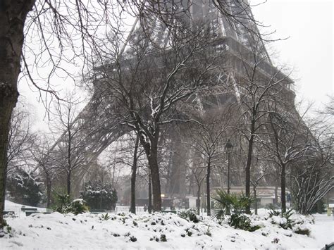 Snow In Paris Trees Around The Eiffel Tower Wallpapers And