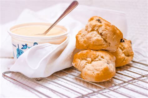 Low Carb Scones Super Quick And Healthy