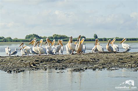 The danube delta is the second largest river delta in europe, after the volga delta, and is the best preserved on the continent. Bootstour durchs Donaudelta - so klappt das! - comewithus2 ...