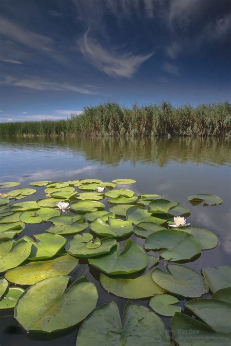 Danube Deltaromania ธรรมชาติ