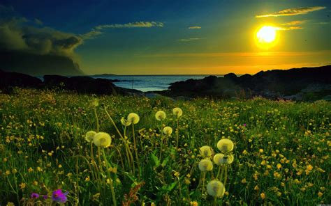 Spring Sunset Wallpapers Top Free Spring Sunset Backgrounds