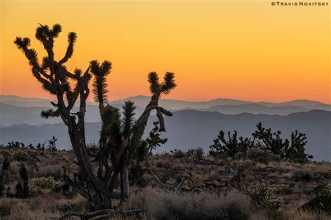 Photography By Travis Novitsky Photo Journal Mojave Desert Sunset