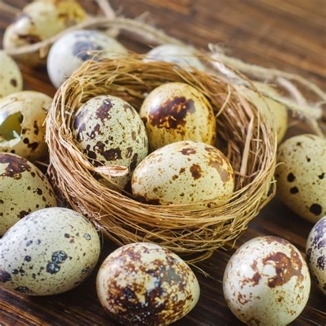 Quail Eggs Free Range - Dozen - Bay Meat Market