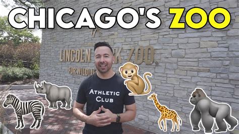 The Wild Animals At Lincoln Park Zoo Chicago Tour Youtube