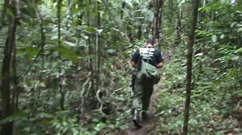 Hiking Through The Amazon Jungle Brazilian Tropical Forest Youtube