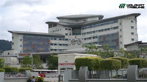 Hospital sungai buloh adalah hospital berpakar dan menerima p. Kenapa Hospital Sungai Buloh dijadikan rujukan kes Novel ...