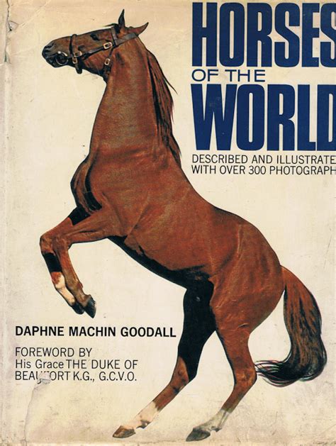 Horses Of The World Horses World Illustration