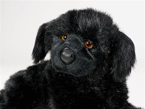 Boatswain Newfoundland Luxury Plush Stuffed Dog Big Furry Friends