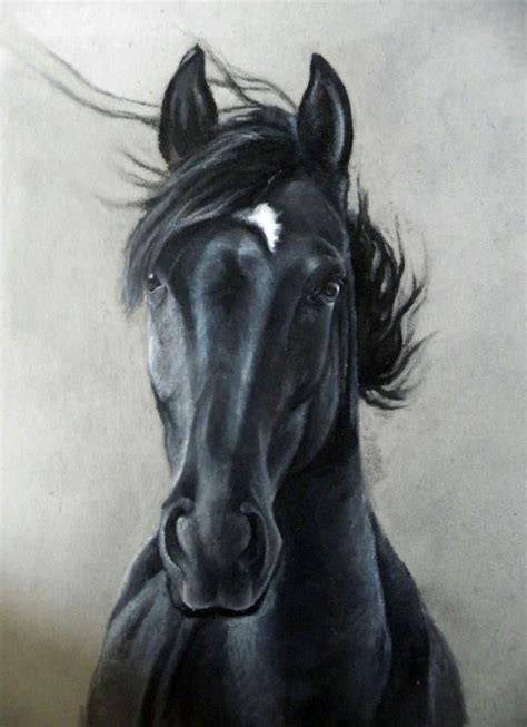 Beautiful Horse Drawing Horse Head Drawing Horse Drawings Animal