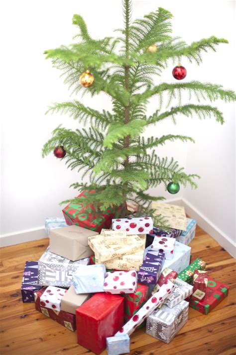 Christmas Presents Under The Tree 8226 Stockarch Free Stock Photo Archive