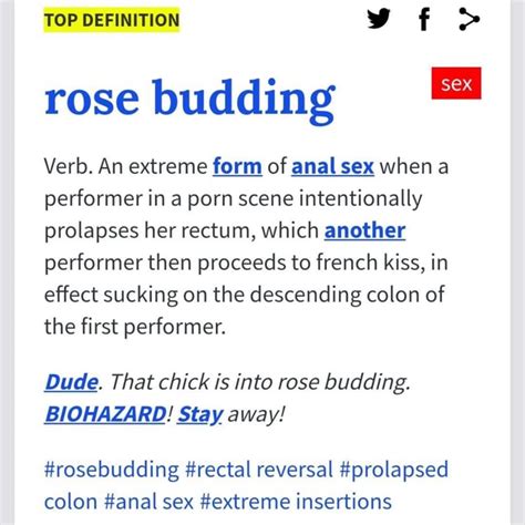 TOP DEFINITION F SEX Rose Budding Verb An Extreme Form Of Anal Sex