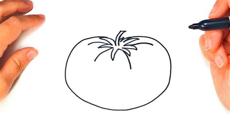 How To Draw A Tomato Tomato Food Easy Draw Tutorial Youtube