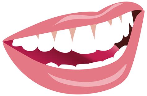 Mouth Lip Smile Clip Art Smiling Mouth Cliparts Png Download 3000