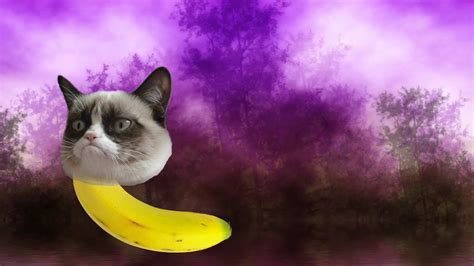 Banana Cat Parry Grip MV YouTube