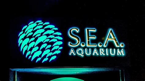 Sea Aquarium Logo 1000 Aquarium Ideas