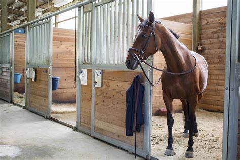 How To Choose A Boarding Stable For Your Horse