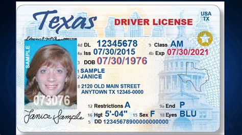 Texas Temporary Drivers License Template