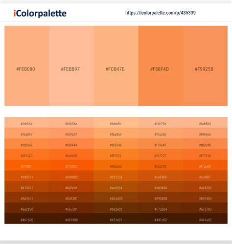 150 Latest Color Schemes With Peach Orange Color Tone Combinations