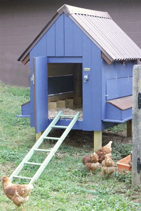 As you look at chicken coop plans, remember every chicken coop has some basic requirements. DIY Blue Chicken Coop painted in Heirloom China & Ballet ...